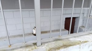 Поездка в город Остров