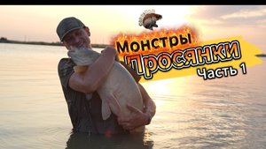 Монстры «Просянки». Часть 1