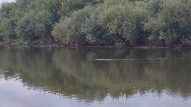 1000297579.mp4 смотреть онлайн