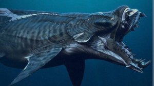 Акула из к/ф «Аватар: Путь воды»