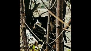 Бухрамон - Вдоль холодных улиц