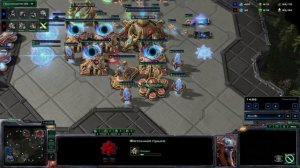 SC2 Медведь ПвТ