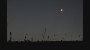 Вечерний таймлапс полного лунного затмение. Дер. Яльгелево. Дата 7 сентября 2025 год. Ленобласть