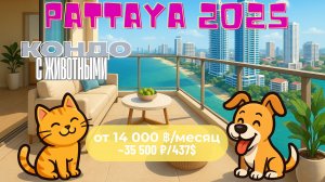 Паттайя 2025 🐾 Дешёвые кондо с животными | Аренда от 14,000฿ в месяц