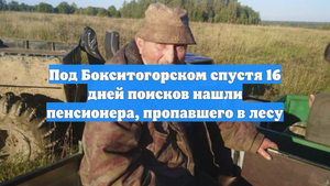 Под Бокситогорском спустя 16 дней поисков нашли пенсионера, пропавшего в лесу