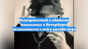 Подозреваемый в убийстве школьницы в Петербурге познакомился с ней в онлайн-игре