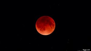 Кровавая луна 🌙