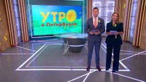 Утро в Петербурге 8 сентября
