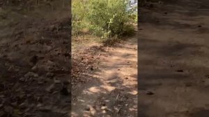 Водохранка. Вело