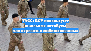 ТАСС: ВСУ используют школьные автобусы для перевозки мобилизованных