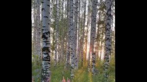 доброе утро хорошего дня ❤️