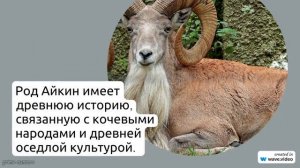 Фамилия Айкин: происхождение, значение и история славного рода в подробностях. Как правильно