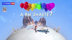 Рубрика «Интересные факты». Водоросли