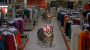 Романтика oiia