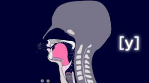 Мастер-класс по французскому: идеальное произношение звука y