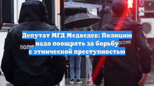 Депутат МГД Медведев: Полицию надо поощрять за борьбу с этнической преступностью