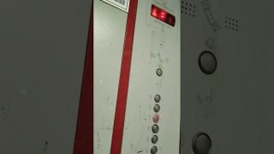 Республики 229