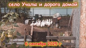 Дорога Учалы-Челябинск 6 сентября 2025 г
