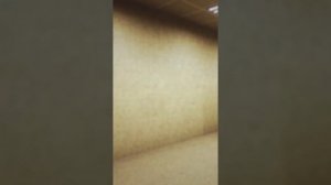 Я в бекрумс