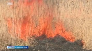 За три дня на Ставрополье ликвидировали почти сотню пожаров