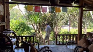 VLOG: Неделя в Убуде | Обзор локаций Убуда | Сколько стоит улететь на Бали | Цены