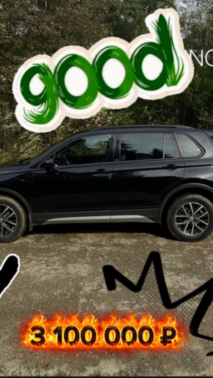 Volkswagen Tiguan 2.0 TDI DSG 4MOTION Off-road • 2019 • Идеальное состояние с полной историей