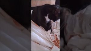 "На полпути" M K (2000)