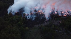 Красноуфимск Свалка 21.08.2021
