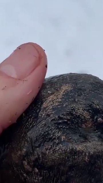 Гипс на улице