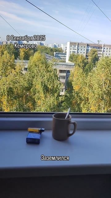 2025-09-08 смотреть онлайн