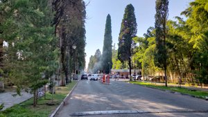 Пицунда,август 2023г.