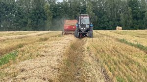 Охота на Кабана