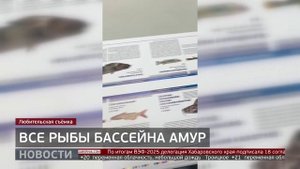 Все рыбы бассейна Амур. Новости. 08/09/2025. GuberniaTV