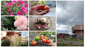 Ура! Мы ЭТО сделали!🥳 Еще одно достижение!💪 Нанотехнологии в курятнике😆