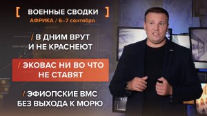 В ДНИМ врут и не краснеют. ЭКОВАС ни во что не ставят. Эфиопские ВМС без выхода к морю