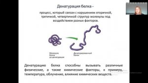 Занятие 2 ОГЭ Белки