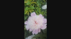 7 июня . всего понемногу.