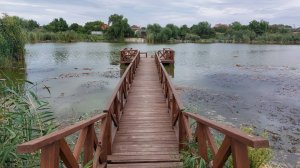 Ходили в гости, к соседям)