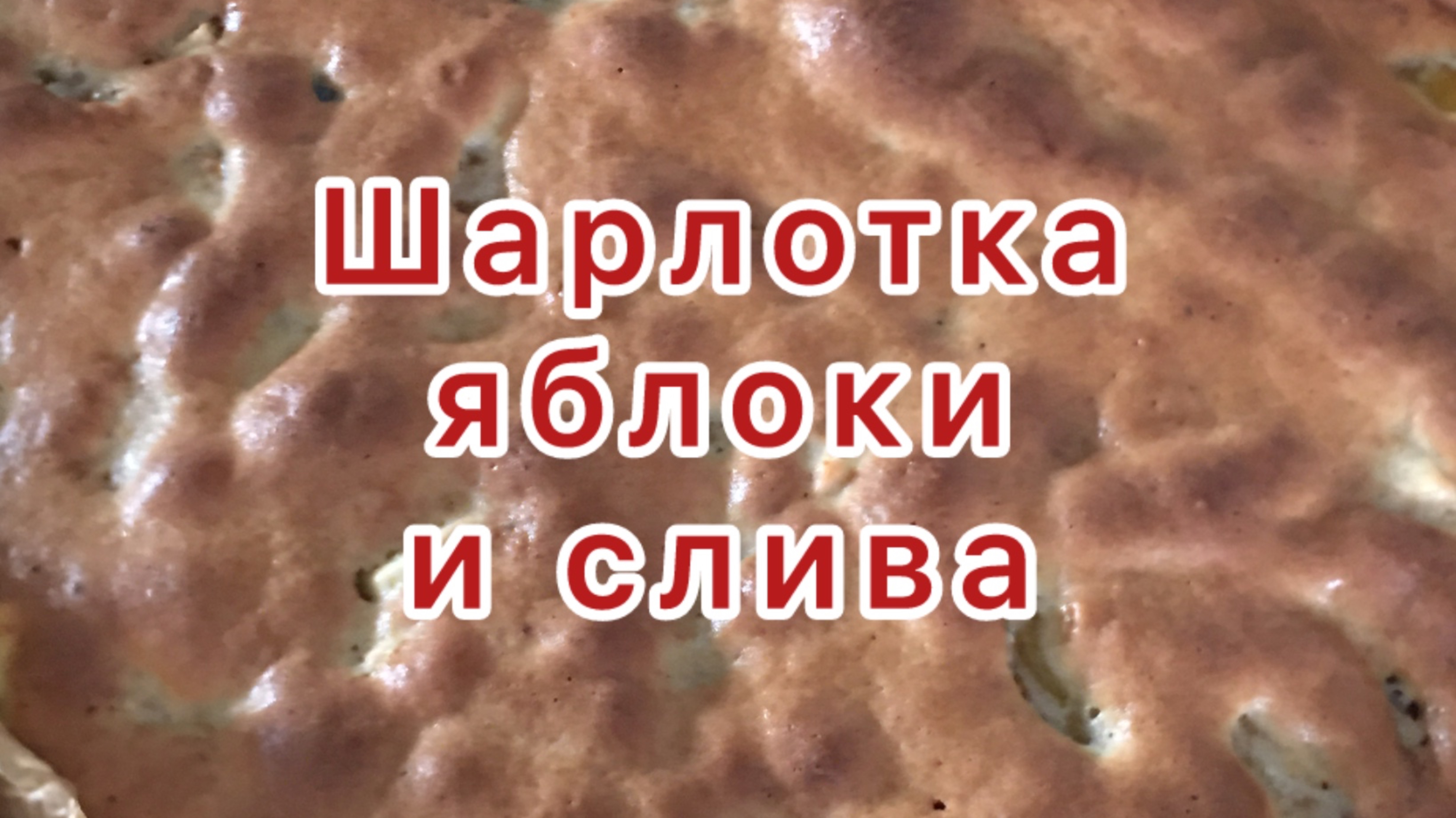 Шарлотка с яблоком сливой и цукатами черноплодной рябины