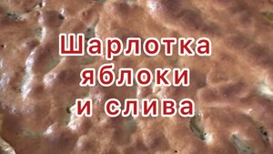 Шарлотка с яблоком сливой и цукатами черноплодной рябины