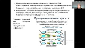 Занятие 2 ОГЭ Нуклеиновые кислоты. АТФ.