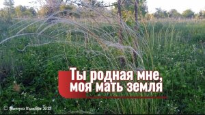 Ты родная мне, моя мать земля