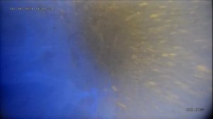 скважина 48 метров телеметрия 4