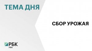 В Башкортостане зерновые и зернобобовые культуры убрали на 50% площадей