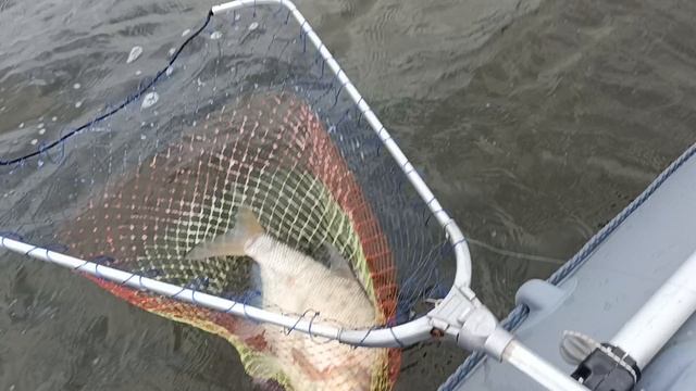 1000217464.mp4 смотреть онлайн