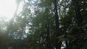 Секретная дорога. Парк Сокольники. Как пройти за пределы стройки.