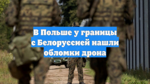 В Польше у границы с Белоруссией нашли обломки дрона