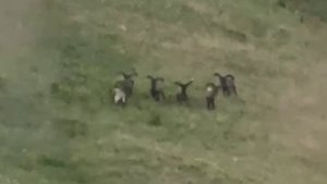 Фильм про Охотугодие