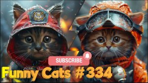 Смешные коты #334