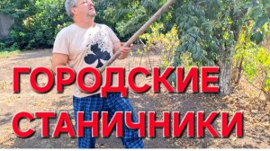 746 Простая жизнь в станице на юге. Больше про это не будем говорить. Не приятно.